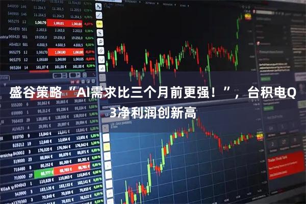 盛谷策略 “AI需求比三个月前更强！”，台积电Q3净利润创新高