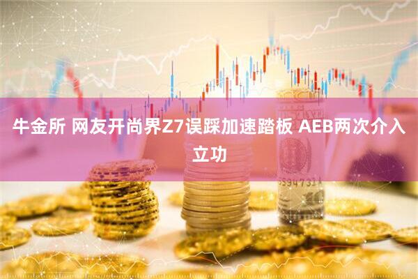 牛金所 网友开尚界Z7误踩加速踏板 AEB两次介入立功