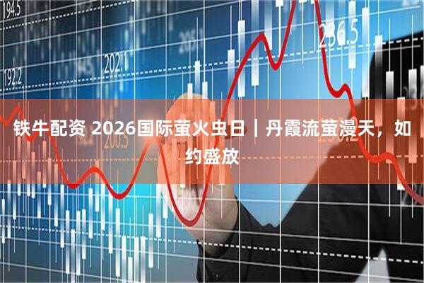 铁牛配资 2026国际萤火虫日|丹霞流萤漫天,如约盛放